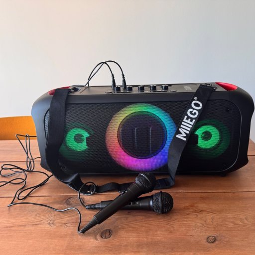 TEST af MIISOUND GIGANT fra MIIEGO