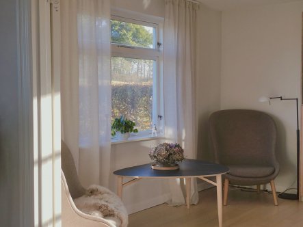 TEST af MotionsBlinds Smart Curtain Rail Central Opening fra Coolshop