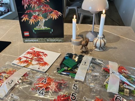 TEST af LEGO Botanicals 10348 18+