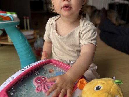 TEST af Sea Dreams Soother & Seahorse Bamse fra Baby Einstein