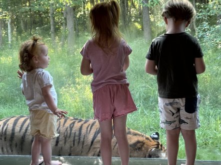 TEST af Knuthenborg safaripark med overnatning 2025