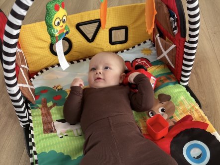 TEST Busy Barnyard multifunktionelt aktivitetstæppe fra Baby Einstein