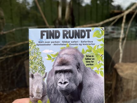 ANMELDELSE af en dag i Givskud Zoo