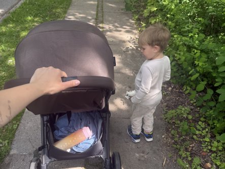 TEST af Easywalker Jackey NXT XL