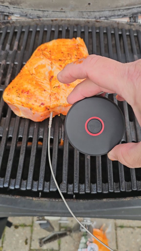 TEST af Weber Smart Grilltermometer