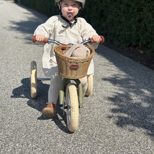 Trybike i hverdagen