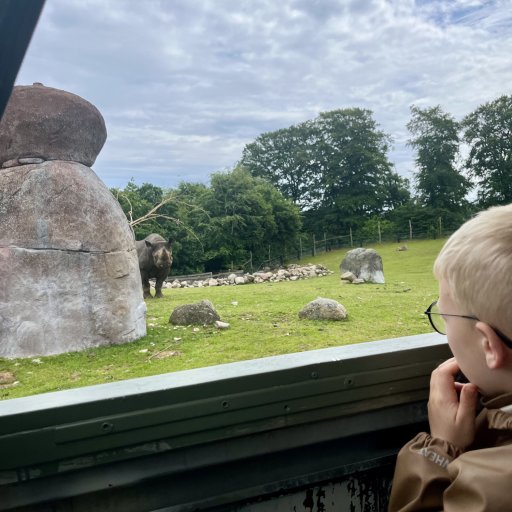 Kom helt tæt på dyrene i Ree Park Safari