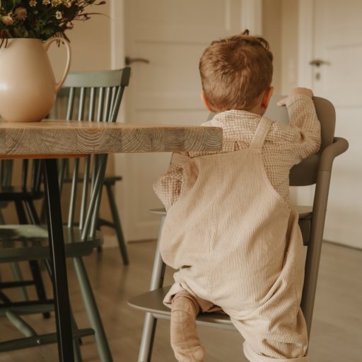 Cybex LEMO passer naturligt ind i det moderne hjem.