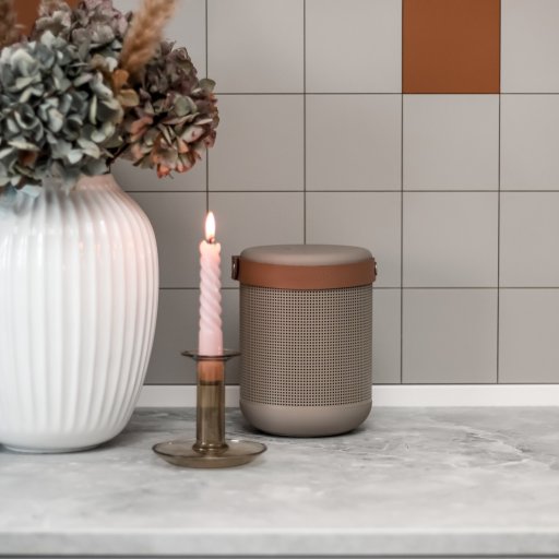 Stilrent design og kraftfuld lyd samlet i én højttaler