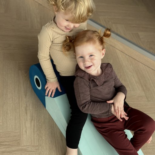 Dansk design, høj kvalitet og mange års aktiv leg