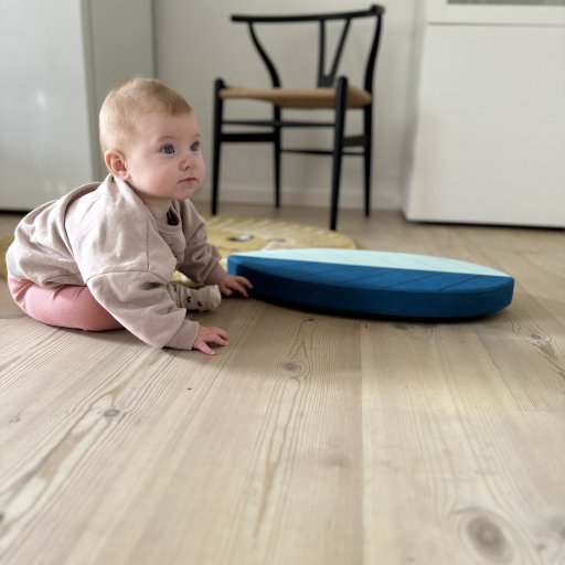Dansk design, høj kvalitet og mange års aktiv leg