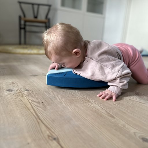 Dansk design, høj kvalitet og mange års aktiv leg