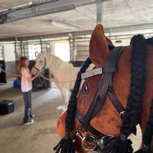 Charlie på besøg hos Emmas rigtige hest i ridecenteret