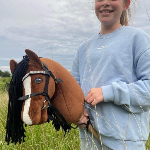Charlie på besøg hos Emmas rigtige hest i ridecenteret