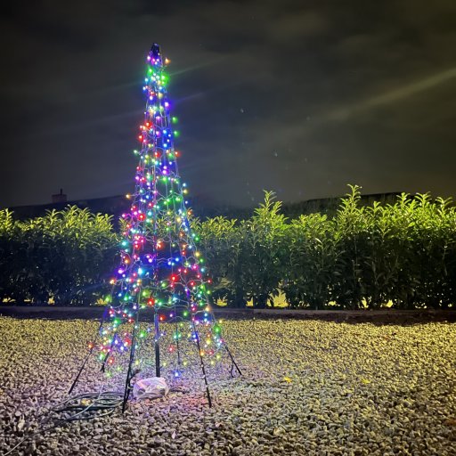 Light Tree lyser op i mørket