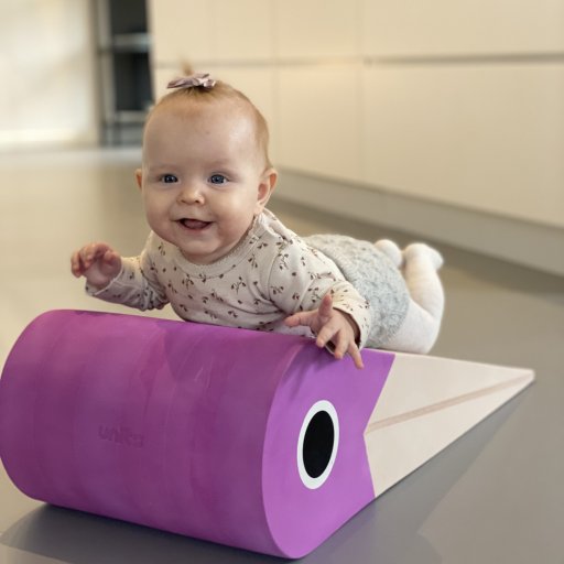 Fuglen udfordrer balance og fantasi
