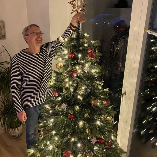 Juletræet kan bruges år efter år