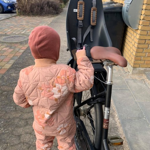 Klar til nye eventyr – Vigga nyder udsigten fra Urban Iki Rear Seat