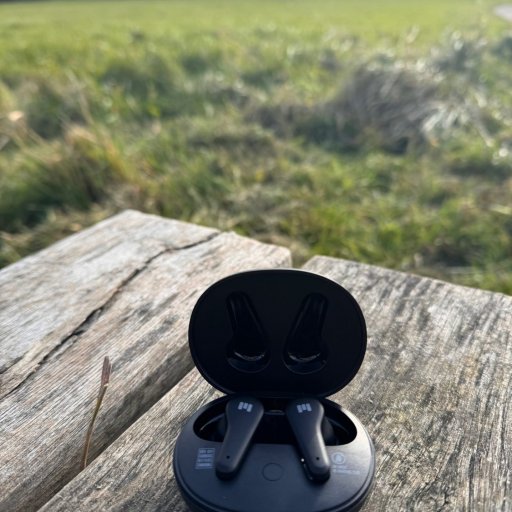 Louises faste følgesvend