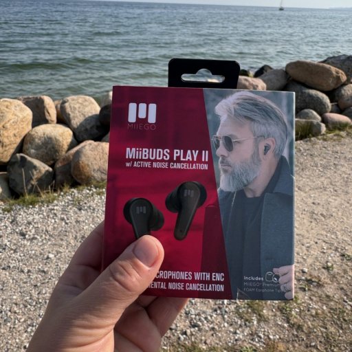 Louises faste følgesvend