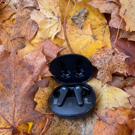 Louises faste følgesvend