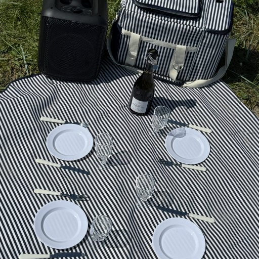 Højtaleren får vores absolut varmeste anbefalinger