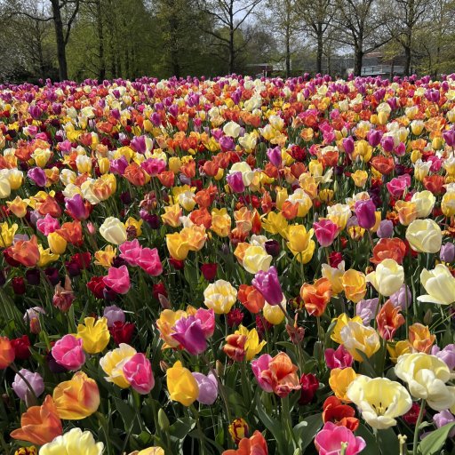 TUREN DERNED OG OMGIVELSERNE