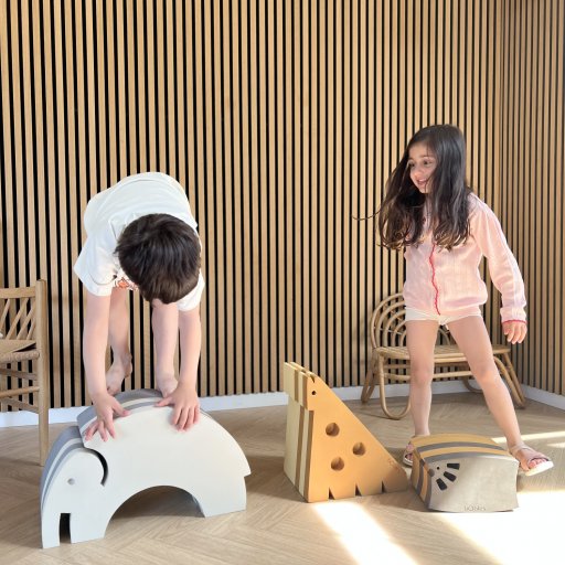 Leg og læring i ét