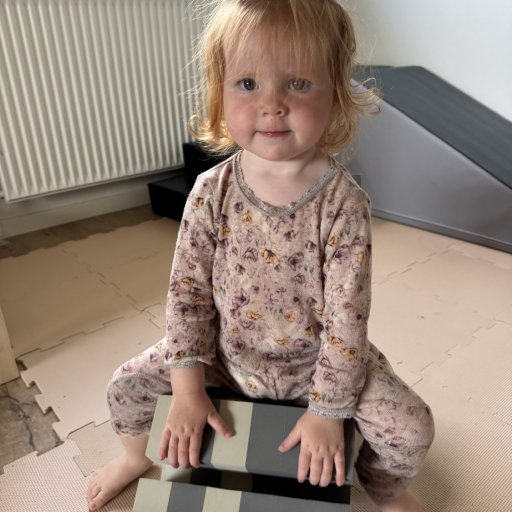 Elefanten – familiens favorit