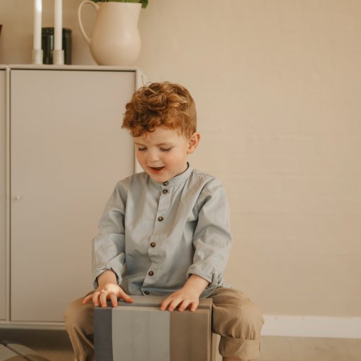 Balanceleg og grin med Elefanten og Kyllingen