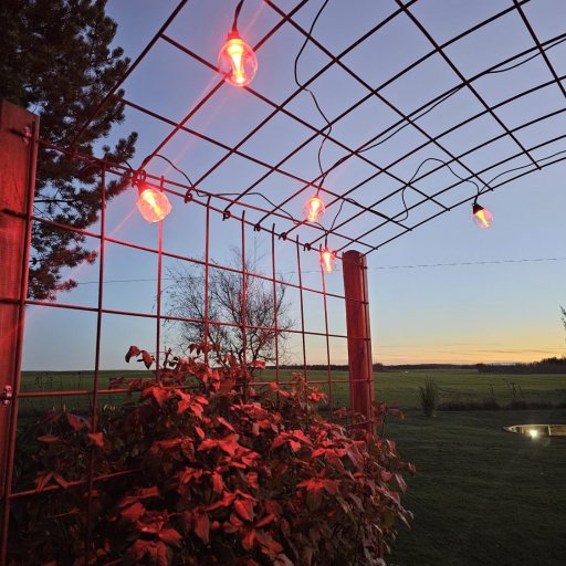 Skab magisk udendørs atmosfære med smart lys