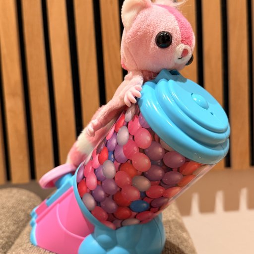 Nuttet leg med fart på – Sugar Glider i fuld flyvetur