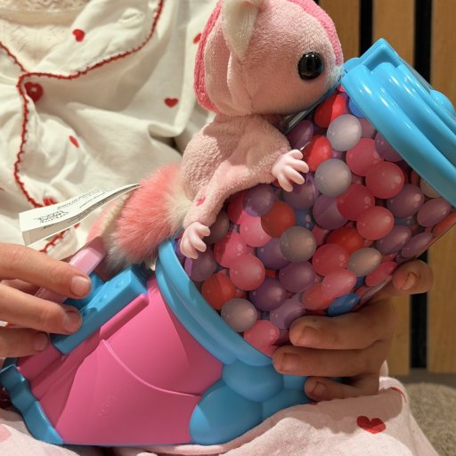 Nuttet leg med fart på – Sugar Glider i fuld flyvetur