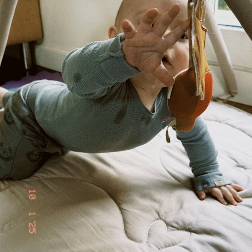 Sanseleg der fanger nysgerrigheden