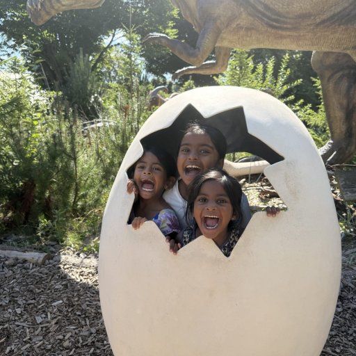 Magiske øjeblikke med vilde dyr og smil hele dagen