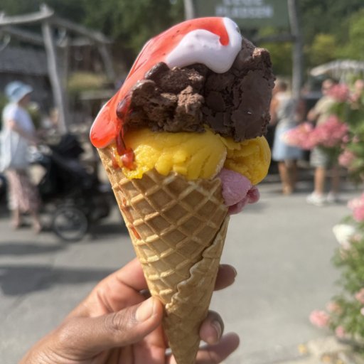 Magiske øjeblikke med vilde dyr og smil hele dagen