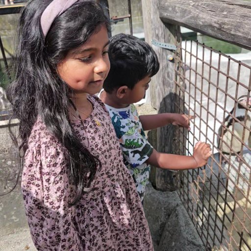 En dag fyldt med eventyr – fra pingviner til dinosaurer