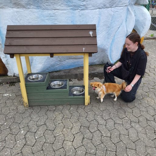 Et nostalgisk gensyn med nye højdepunkter og plads til forbedring.