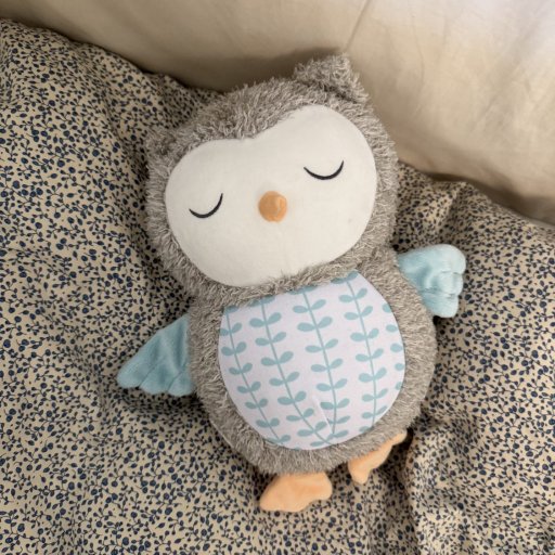 En lille ugle der skaber store mirakler ved puttetid