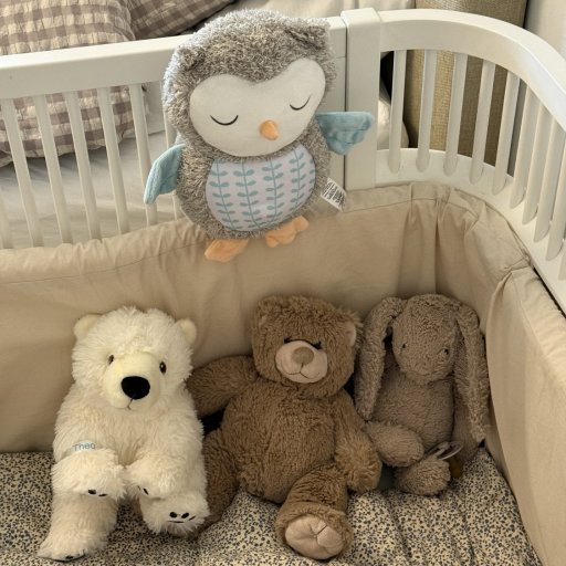 En lille ugle der skaber store mirakler ved puttetid