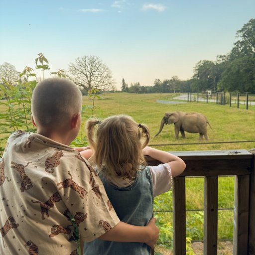 Magiske Ăžjeblikke i Camp Ruaha â overnatning midt i naturen med udsigt til elefanter