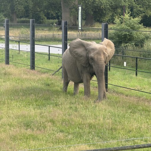 Magiske Ăžjeblikke i Camp Ruaha â overnatning midt i naturen med udsigt til elefanter