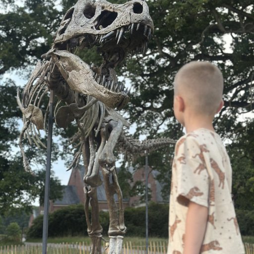 Magiske Ăžjeblikke i Camp Ruaha â overnatning midt i naturen med udsigt til elefanter