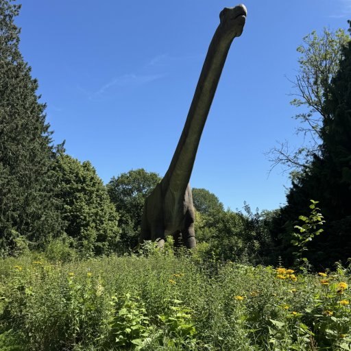 En nat hos tigrene â nĂ„r vilde dyr pludselig gĂ„r forbi vinduet