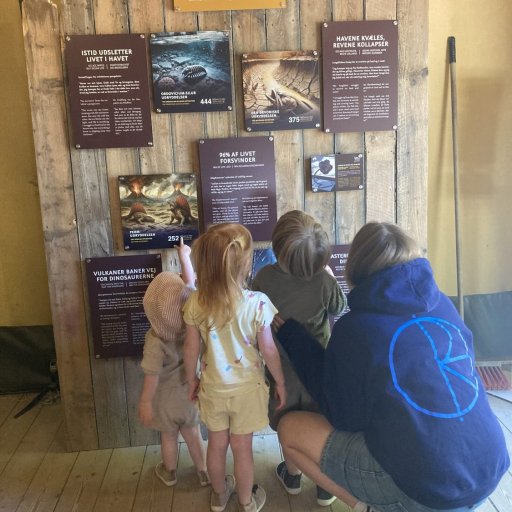 En nat hos tigrene â nĂ„r vilde dyr pludselig gĂ„r forbi vinduet