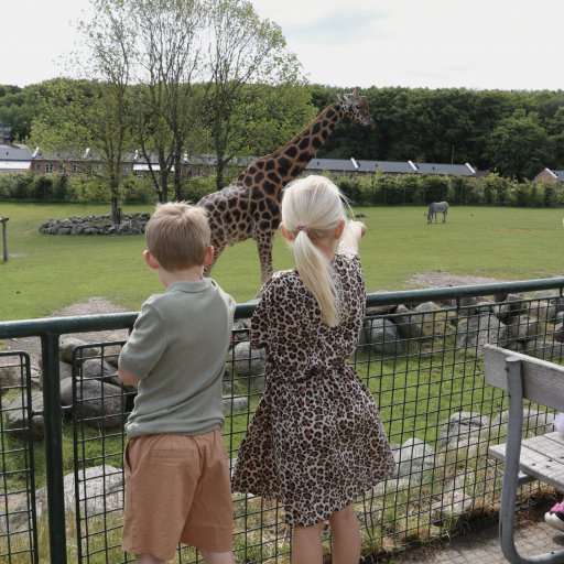 En dag i Aalborg Zoo fyldt med dyr, fodringer og leg for hele familien