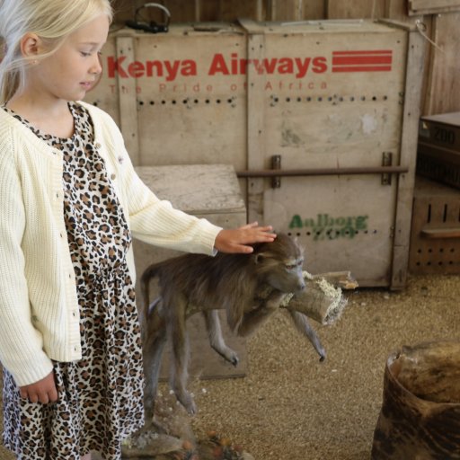En dag i Aalborg Zoo fyldt med dyr, fodringer og leg for hele familien