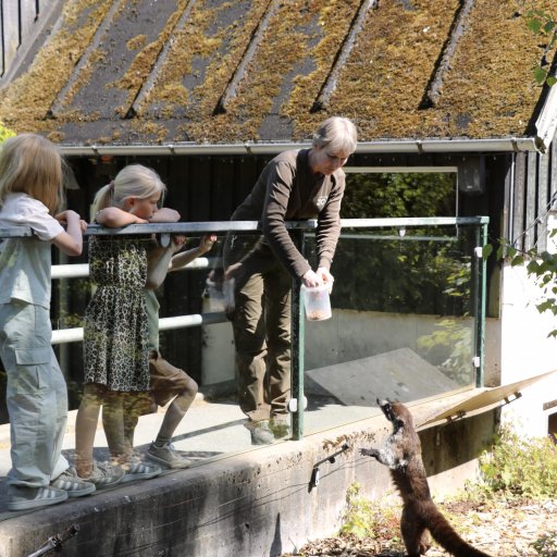 En dag i Aalborg Zoo fyldt med dyr, fodringer og leg for hele familien