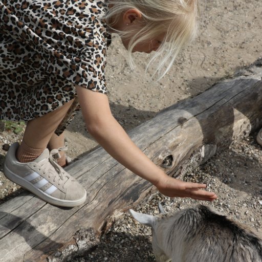 En dag i Aalborg Zoo fyldt med dyr, fodringer og leg for hele familien