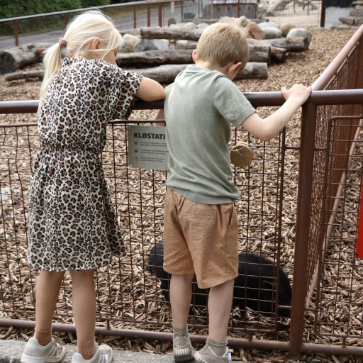 En dag i Aalborg Zoo fyldt med dyr, fodringer og leg for hele familien